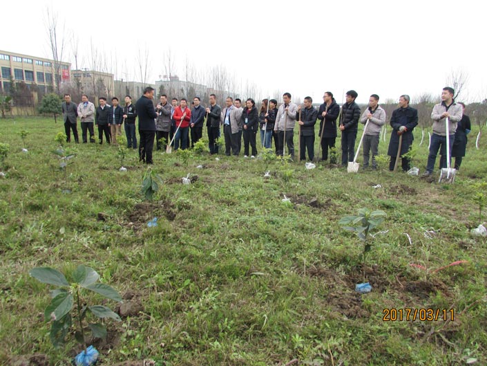 mg������Ե(�й�)�ٷ���վ