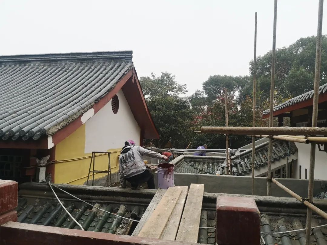 mg������Ե(�й�)�ٷ���վ