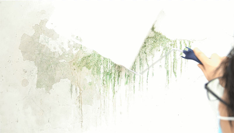 mg������Ե(�й�)�ٷ���վ